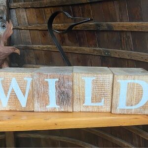 WILD Sign Wooden Blocks Cottage Decor Handpainted Distressed 2” Cube New
